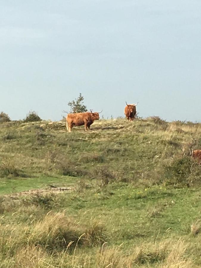 Oostvoornsch Gastenverblijf Oostvoorne Eksteriør billede