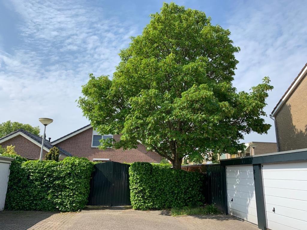 Oostvoornsch Gastenverblijf Oostvoorne Eksteriør billede
